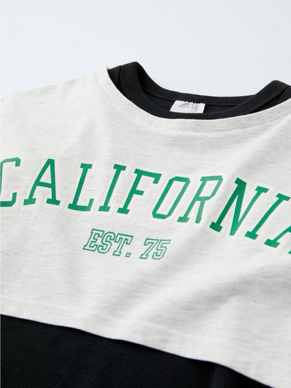 Zara TShirt w/ Ribbed Dress